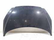 Motorhaube Sonstiger Hersteller Sonstiges Modell () 7901P6