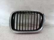 Kühlergrill BMW 5er (E39) 8159311