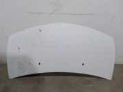 Motorhaube Renault Clio III (BR0/1, CR0/1) 7751476113