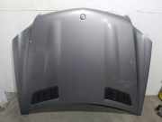 Motorhaube Mercedes-Benz GL-Klasse (X164) A1648800257