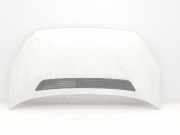 Motorhaube Citroen Jumper III Kasten () 1612246980