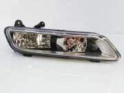 Blinker links vorne VW Passat B7 Variant (362)