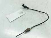 Sensor Kia Carens IV (RP) 1407300413