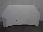 Motorhaube Fiat Doblo Van (119, 223) 51841326