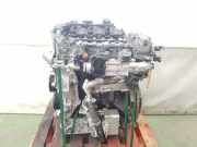 Motor ohne Anbauteile (Diesel) Renault Master III Kasten (FV) M9T880