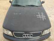 Motorhaube Audi A6 (4A, C4) PELADO