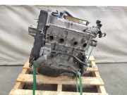 Motor ohne Anbauteile (Benzin) Fiat Punto (199) 169A4000