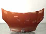 Motorhaube Fiat Qubo (225) 51789394