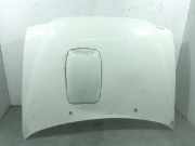 Motorhaube Nissan Terrano II (R20) 651007F030