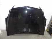 Motorhaube Mercedes-Benz R-Klasse (W251) A2518800057