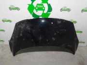 Motorhaube Renault Scenic III (JZ) 651008842R