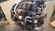 Motor ohne Anbauteile (Diesel) Ford Focus C-Max (C214) G6DA