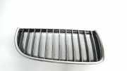 Kühlergrill BMW 3er Touring (E91) 51137120008