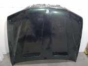 Motorhaube BMW X5 (E53) 41617008328