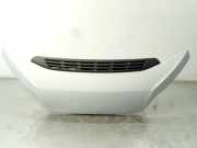 Motorhaube Fiat Ducato Kasten (250) 1380670080