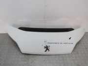 Motorhaube Peugeot Boxer Kasten () 1612246980