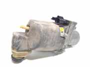 Servopumpe Renault Laguna III (T) 491100023R