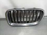 Kühlergrill BMW 5er (F10) 7336477