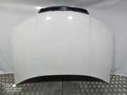 Motorhaube Skoda Fabia (6Y)