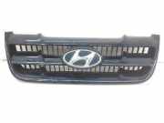 Kühlergrill Hyundai Matrix (FC) 8636117010