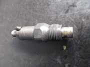 Einspritzventil Peugeot 406 () LCR6734302H