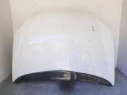 Motorhaube Citroen C5 I Break (DE) 7901H9