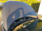 Motorhaube Hyundai Tucson III (TL, TLE) 66400D7000