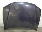 Motorhaube Sonstiger Hersteller Sonstiges Modell () B30D52310C