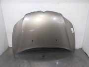 Motorhaube Sonstiger Hersteller Sonstiges Modell () 7901Q6