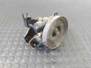 Servopumpe Nissan Terrano II (R20) 491107F700