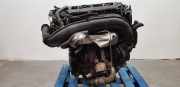 Motor ohne Anbauteile (Diesel) Ford C-Max II (DXA) UFDB