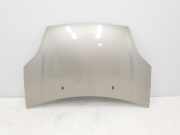 Motorhaube Ford Fiesta V (JH, JD) 1346646