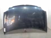 Motorhaube VW Polo IV (9N, 9A) 6QE823031B