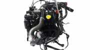 Motor ohne Anbauteile (Benzin) Renault Talisman (LP) K9K648