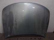 Motorhaube VW Passat B5 (3B2) 3B0823031E