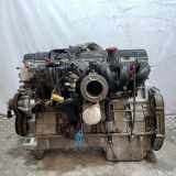 Motor ohne Anbauteile (Benzin) Jaguar XJ (XJ 40, 81) 9DPAMA127369