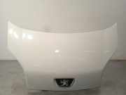 Motorhaube Peugeot Bipper Tepee () 7901Q0