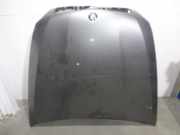 Motorhaube BMW X5 (E70) 41617273439