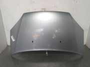 Motorhaube Sonstiger Hersteller Sonstiges Modell () 1372089