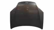 Motorhaube Sonstiger Hersteller Sonstiges Modell () 651000021R