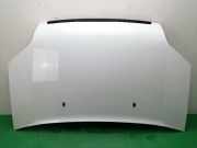 Motorhaube Ford Transit Connect (P*2) 5149226