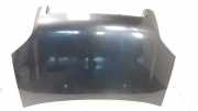 Motorhaube Ford Fusion (JU) 1214457