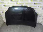 Motorhaube VW Golf V Plus (5M, 521)