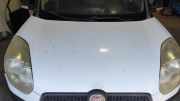 Motorhaube Fiat Doblo Kasten (263) 51810378 BIANCO BANCHISA ( VR-249 )