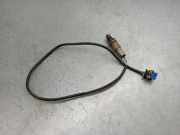 Sensor Ford Fiesta VII (HJ, HF) H1BA9G444DC