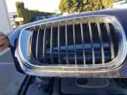 Kühlergrill BMW 3er (E46) CAPO