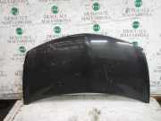 Motorhaube Renault Clio III Grandtour (R) 7751476113