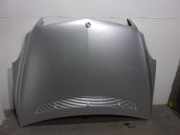 Motorhaube Sonstiger Hersteller Sonstiges Modell () A2518800057