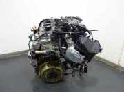 Motor ohne Anbauteile (Benzin) Nissan Primera Hatchback (P12) QG16