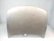 Motorhaube VW Passat B5 (3B2) 3B0823031E